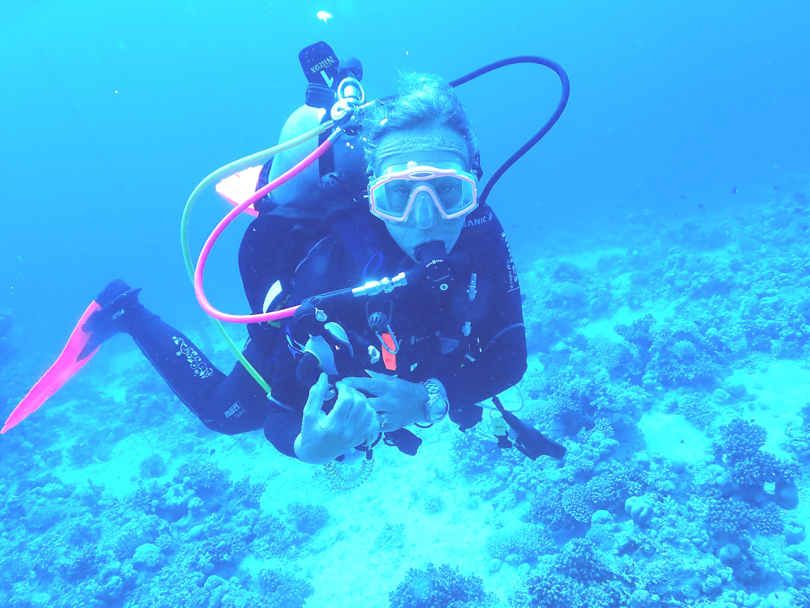 RedSea2025